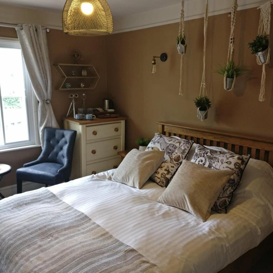 Camera King Standard