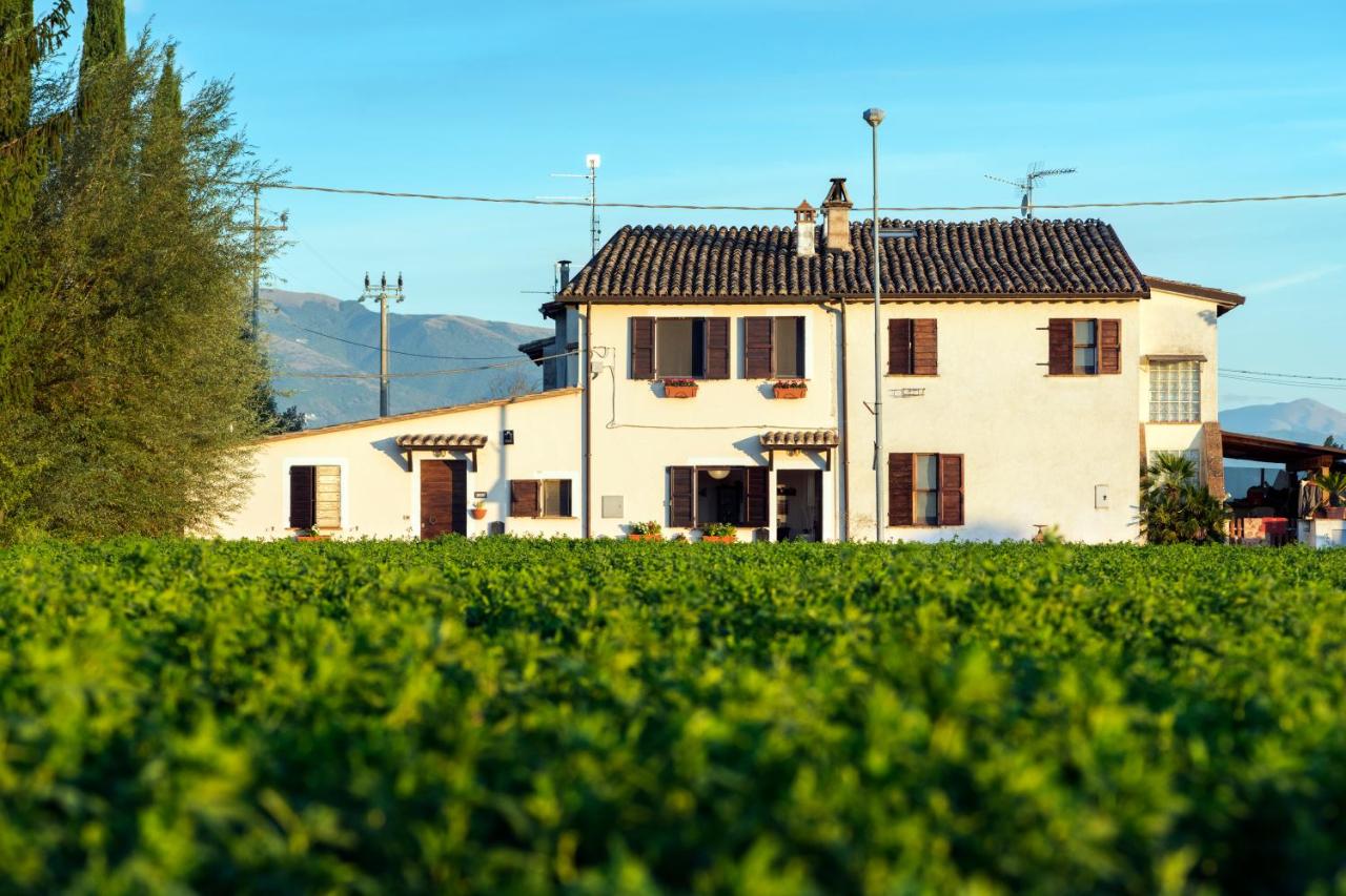 La Casa di Smilla - (Bevagna) - Ferienwohnung