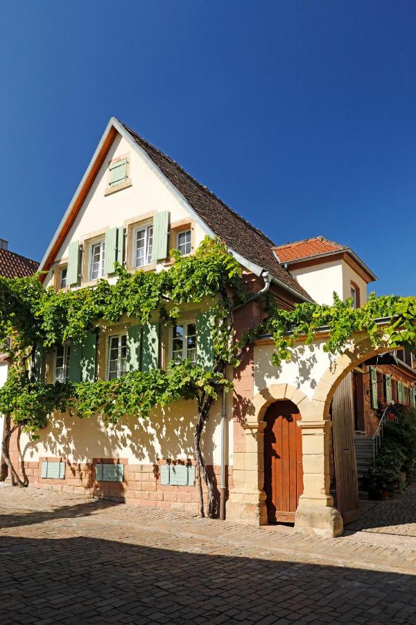 B&B Rhodt unter Rietburg - Gästehaus Zum Weinbauer - Bed and Breakfast Rhodt unter Rietburg