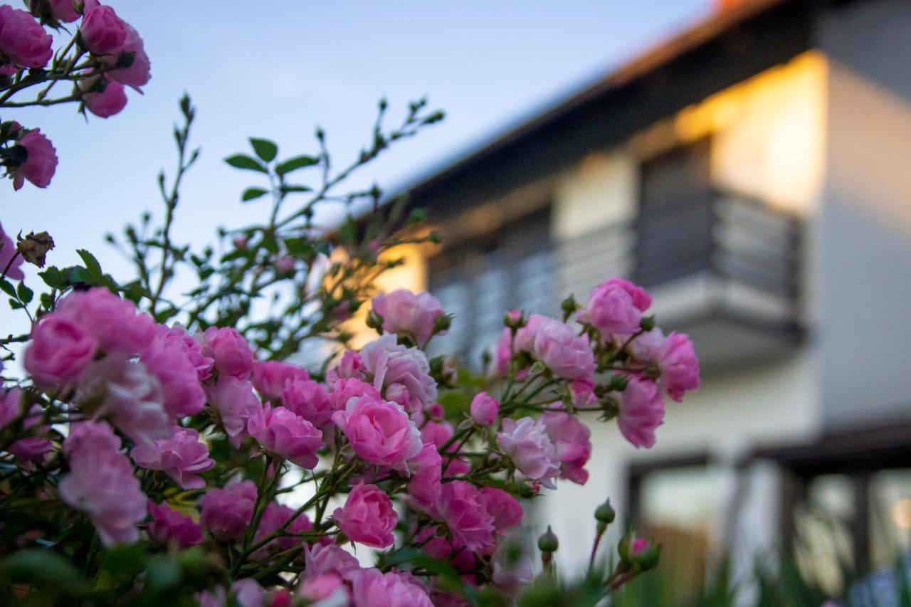 A house, free parking, sauna - B&B