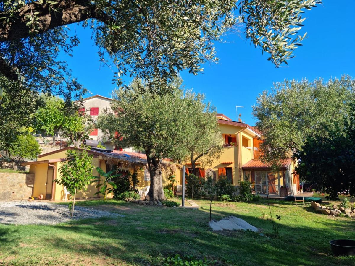 Casa tra mare e oliveti - B&B