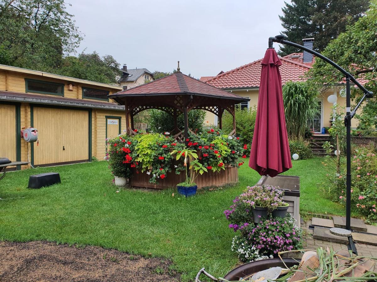 Ferienwohnung an der Dresdner Heide - Langebrück - Ferienwohnung Dresden