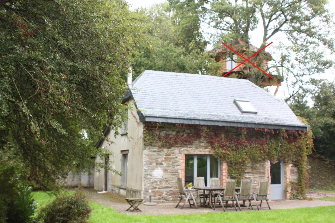 Le Repere du Cerf - Bed and Breakfast Herbeumont