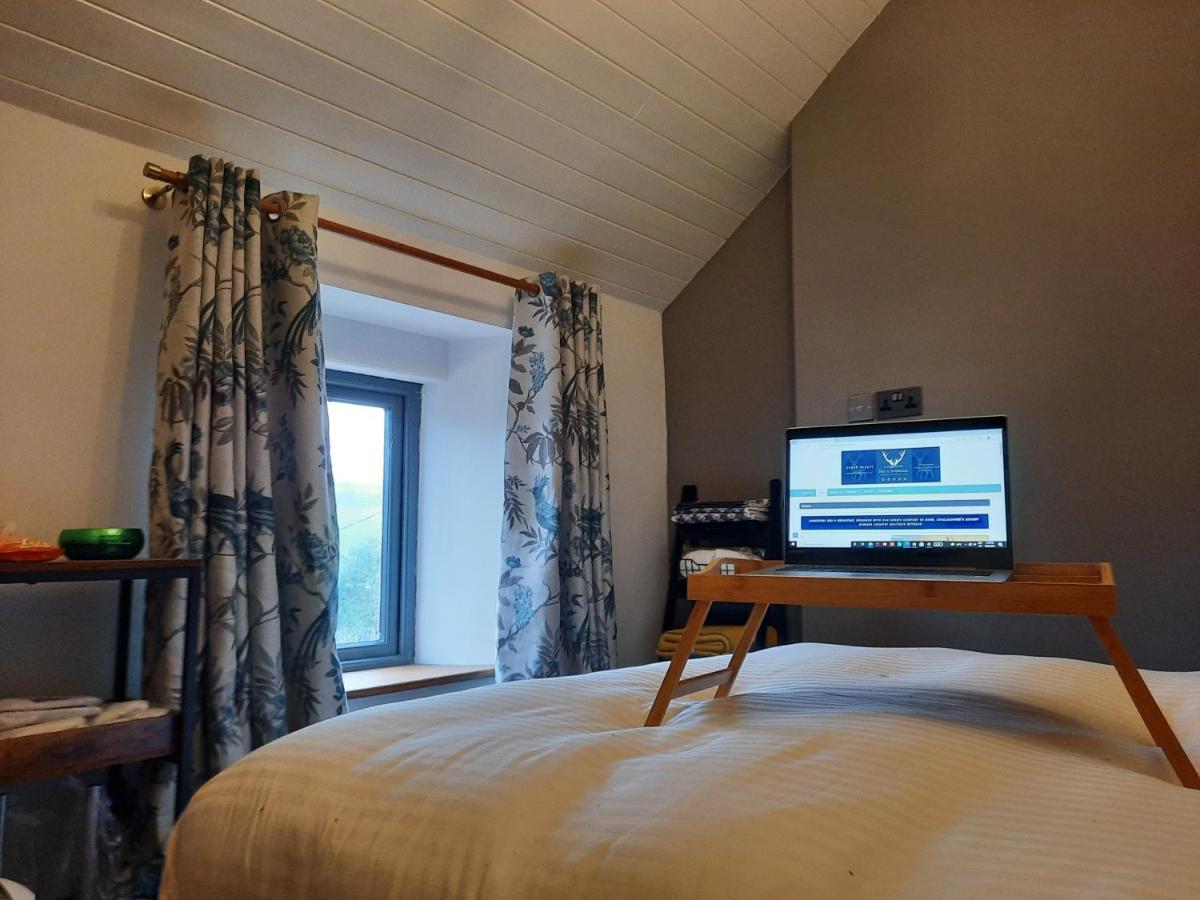 Zimmer mit Kingsize-Bett