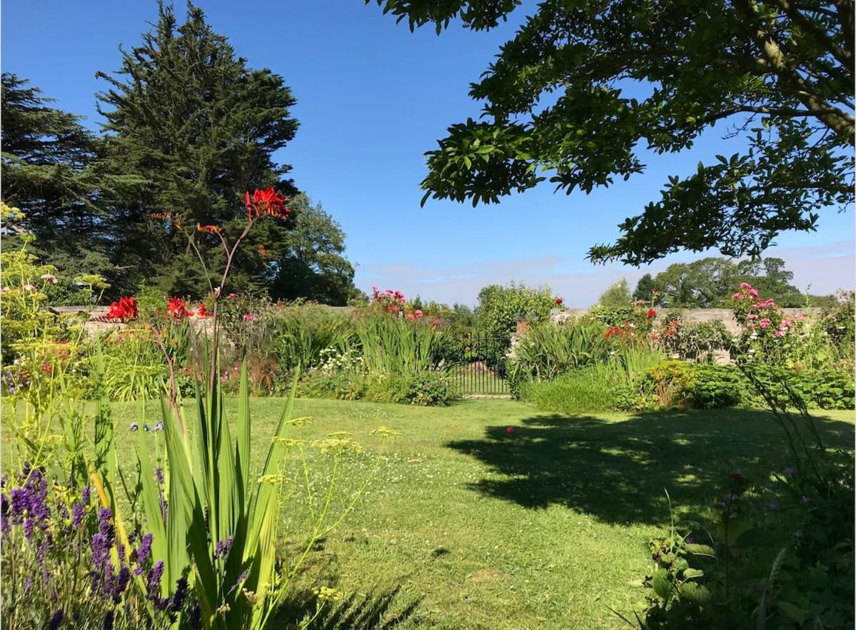 B&B Shapwick - The Potting Shed, self contained, detached retreat in Shapwick village - Bed and Breakfast Shapwick