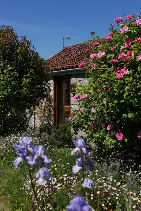 The Potting Shed, self contained, detached retreat in Shapwick village - B&B