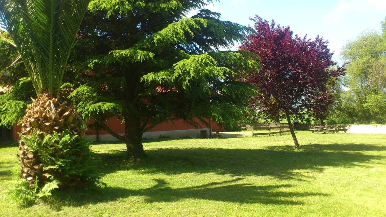 Two-Bedroom Apartment with Garden View