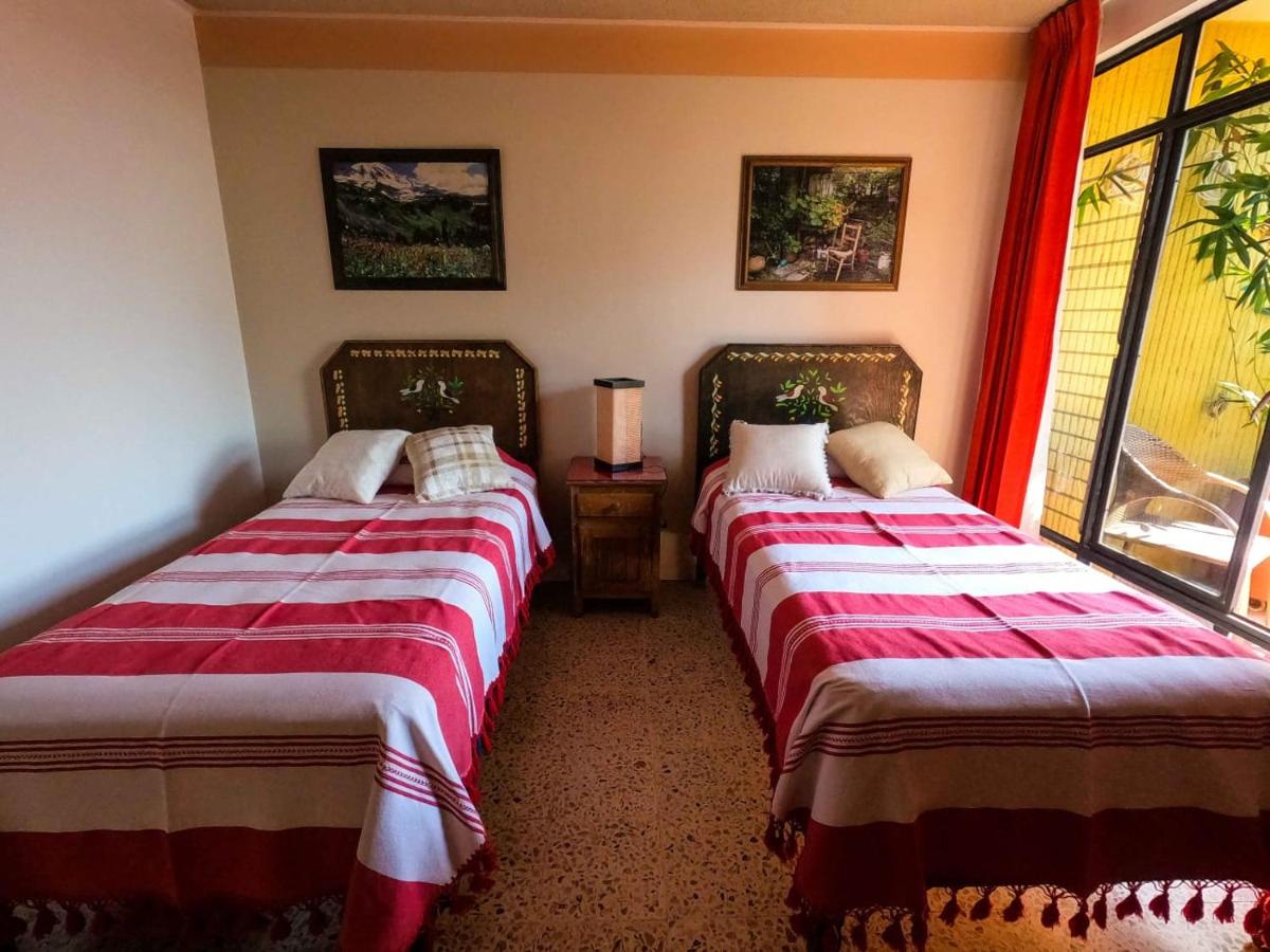 Single Room with Terrace