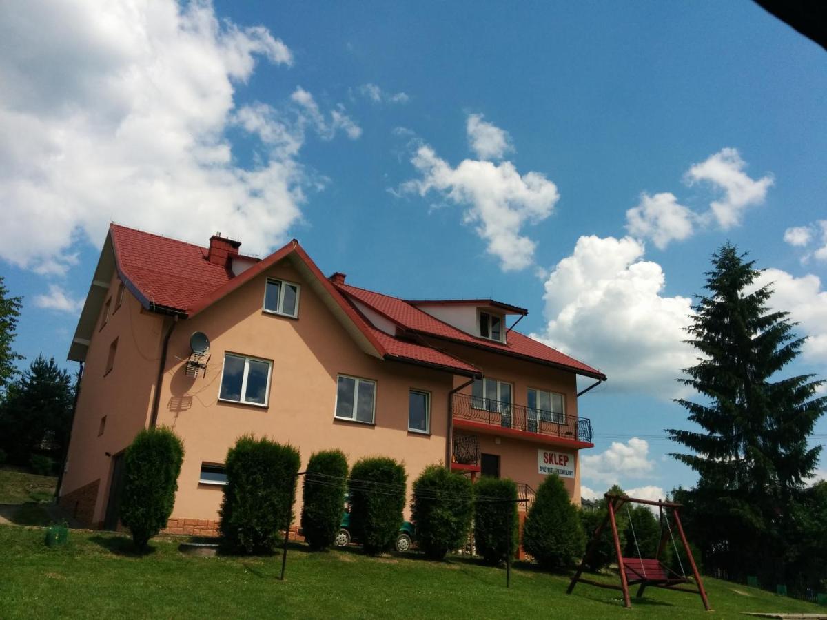 Apartament w Bieszczadach - B&B Wołkowyja