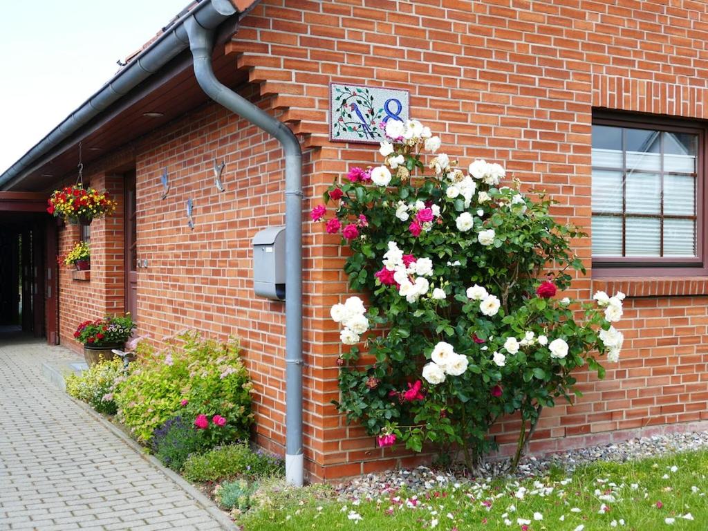 B&B Rövershagen - Cozy Apartment located in Rovershagen with Garden - Bed and Breakfast Rövershagen