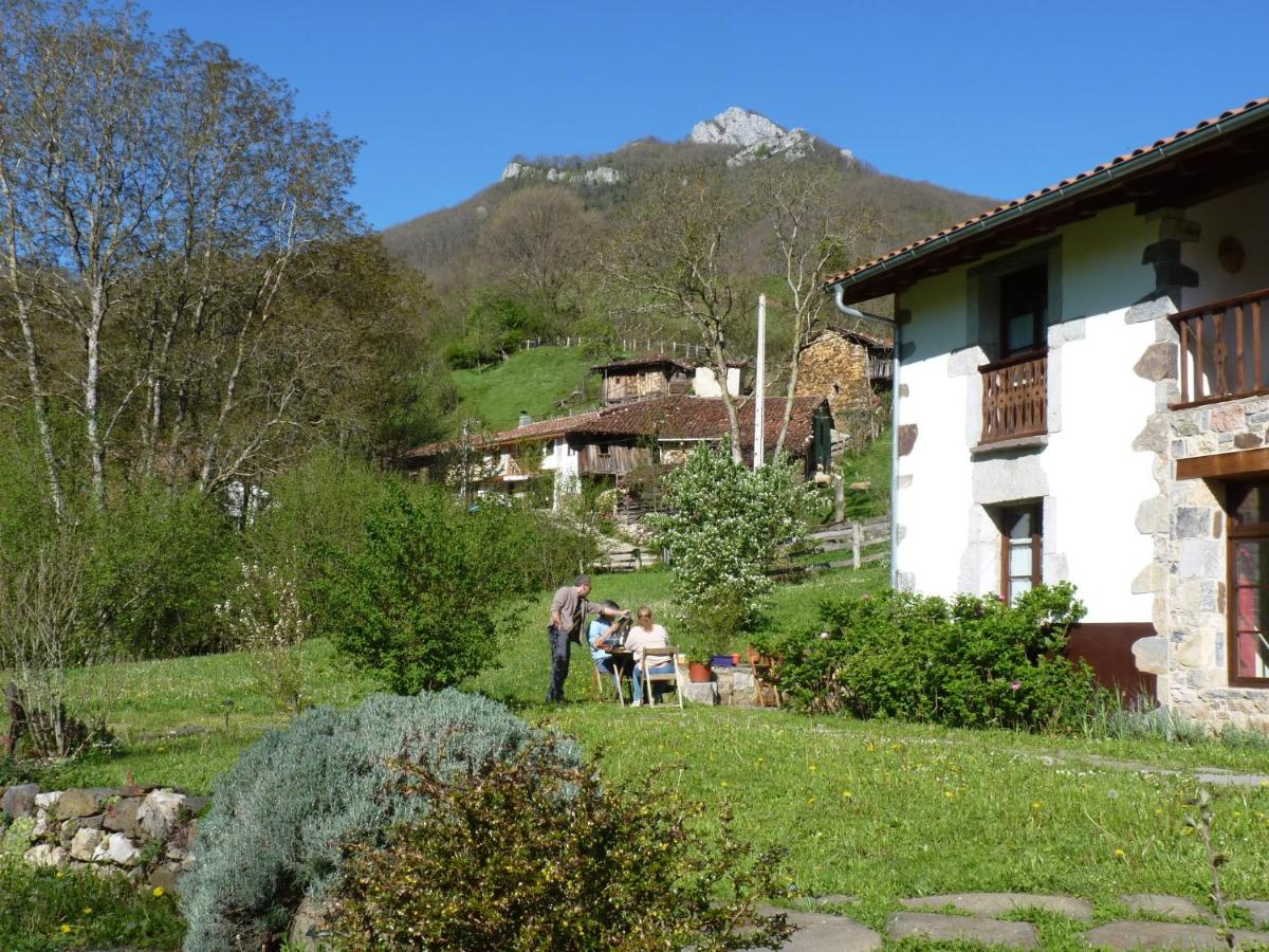 B&B Campo de Caso - Casa Rural Los Riegos - Bed and Breakfast Campo de Caso