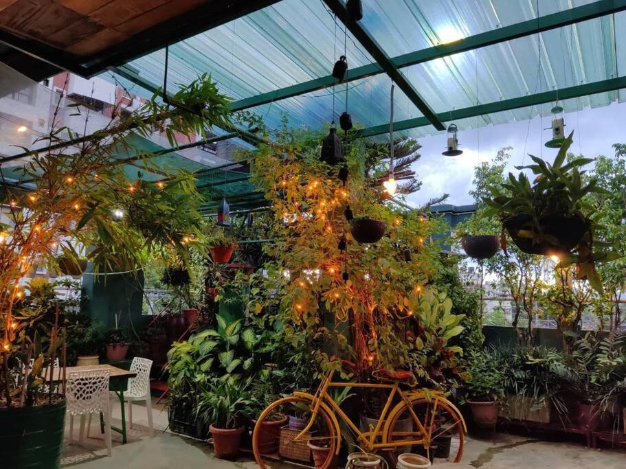 THE NOOK Rooftop Condo and Garden - Ferienwohnung