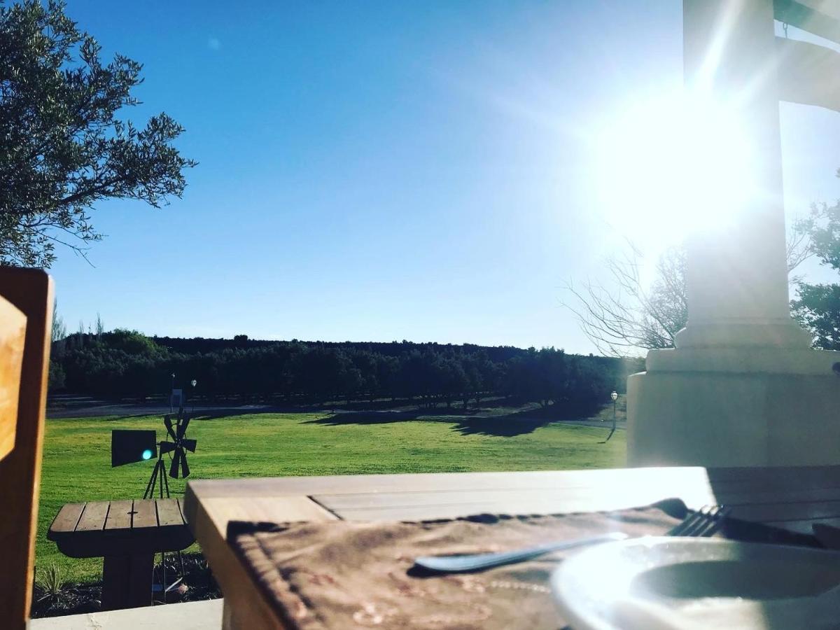 Olive Grove Guest Farm - Chambres d'hôtes Beaufort West