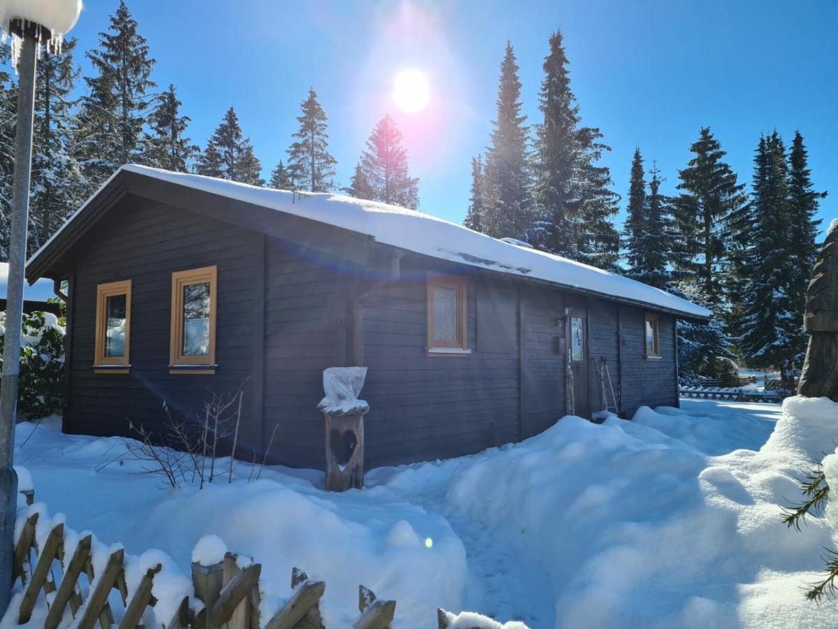 Hüttenflair am See mit Kamin - B&B Clausthal-Zellerfeld