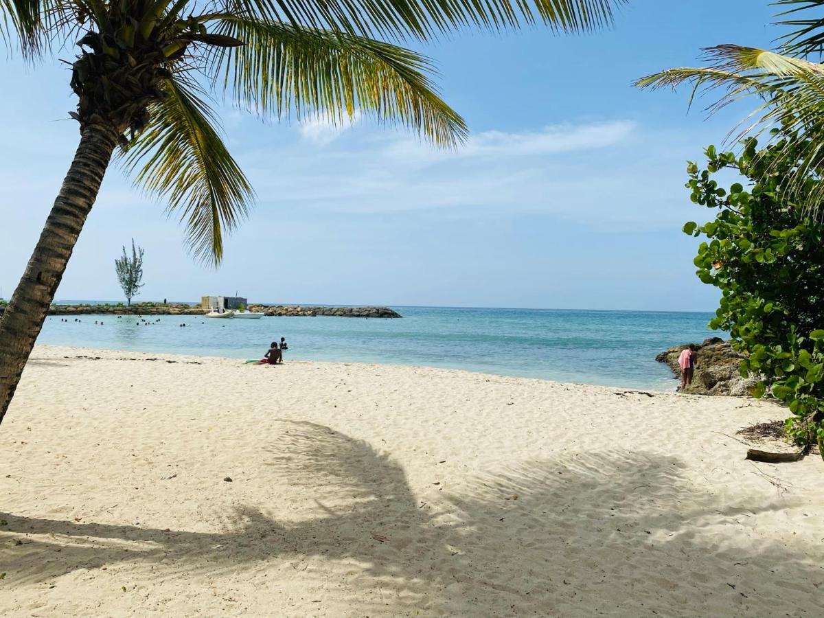 Vanille, à proximité des plages, idéalement situé pour visiter la Guadeloupe - Bed and Breakfast Le Gosier