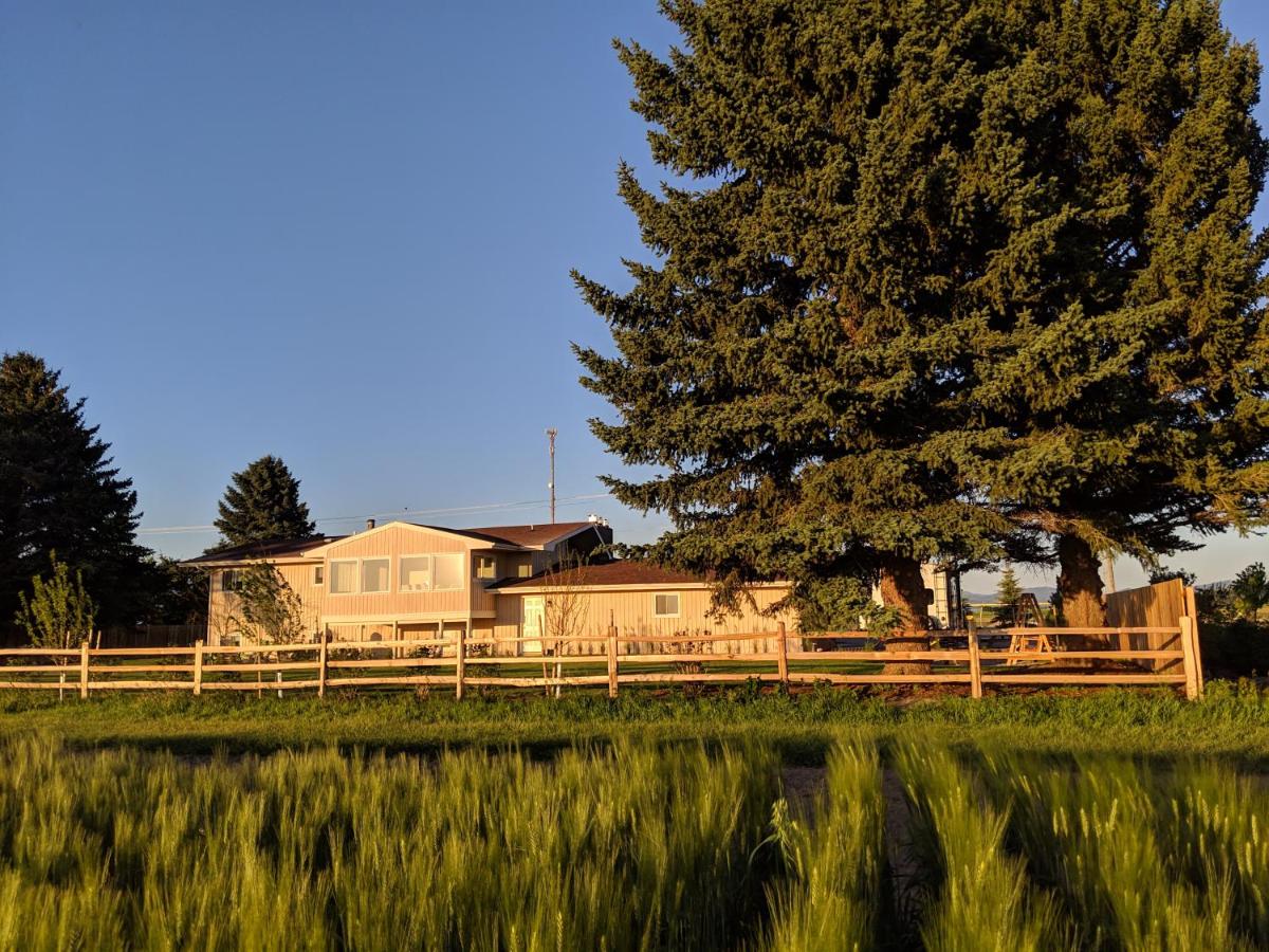 Epic Sunsets in Bozeman - Wonderful View - B&B