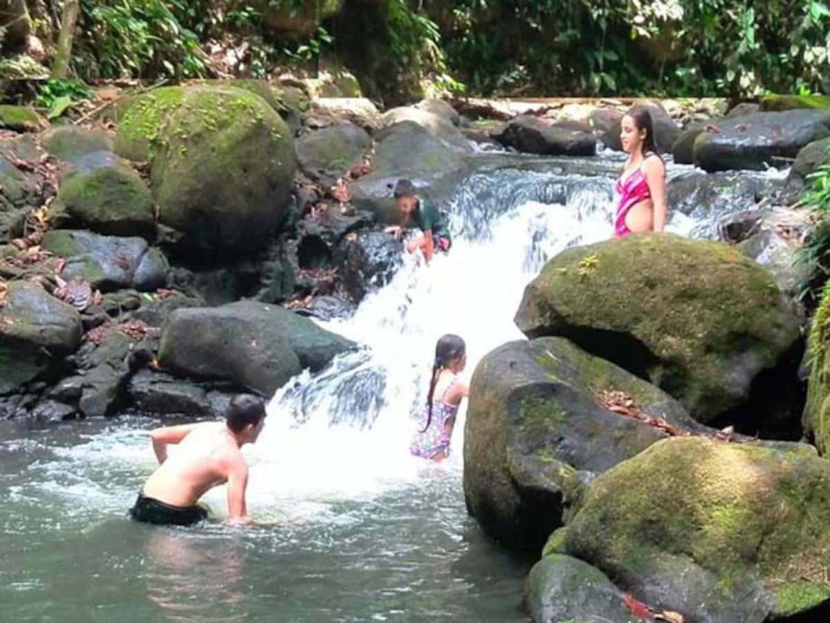 Vanilla Jungle Lodge - Rainforest Waterfall Garden - Ferienwohnung