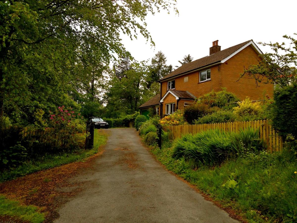 Llys y Coed - Bed and Breakfast