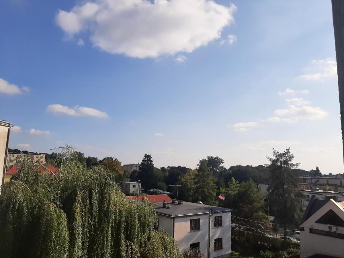 Apartament Next to Old Town - B&B
