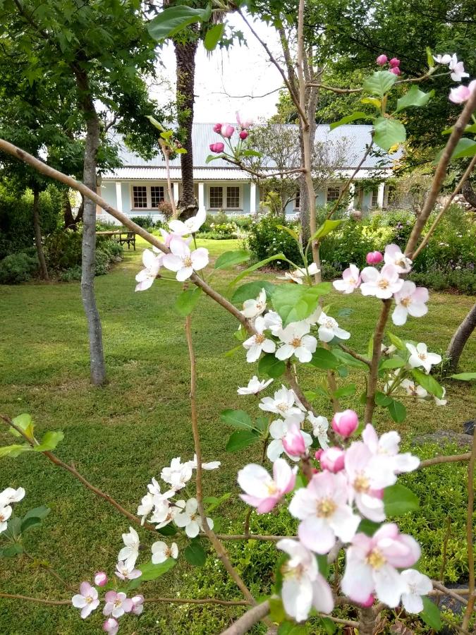 Suite with Garden View