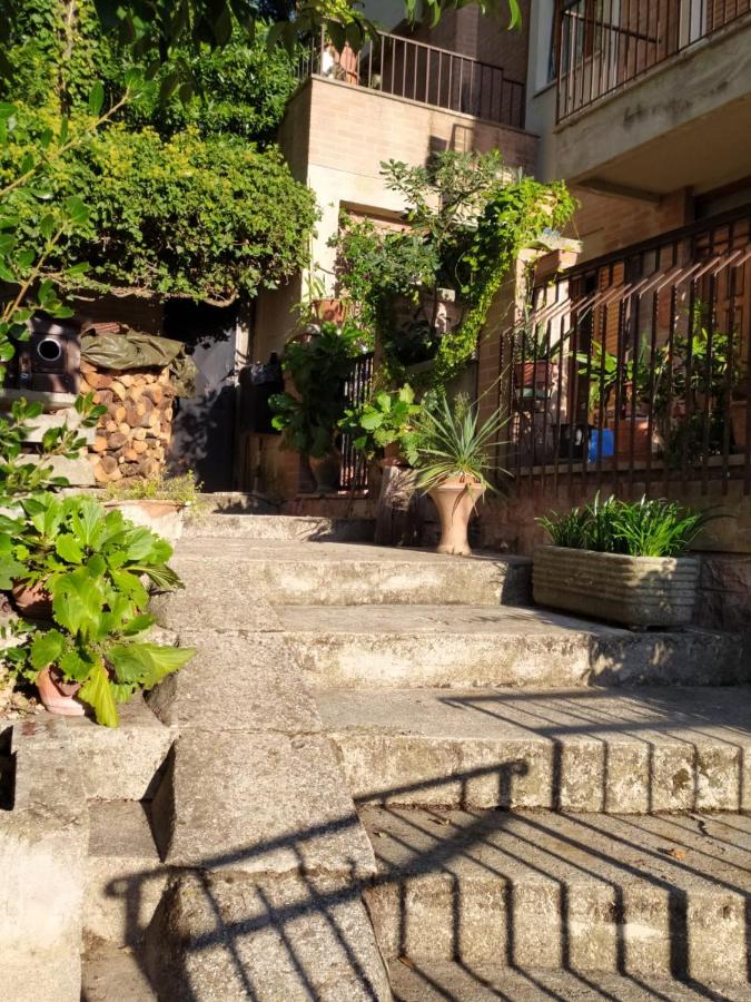 Residenza Damiano - B&B Assisi