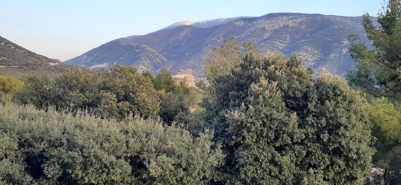 Le Ventoux - Ferienwohnung