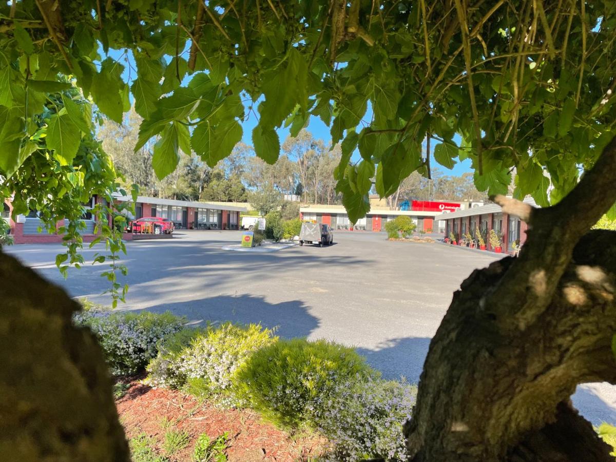 Seymour Motel - B&B Seymour