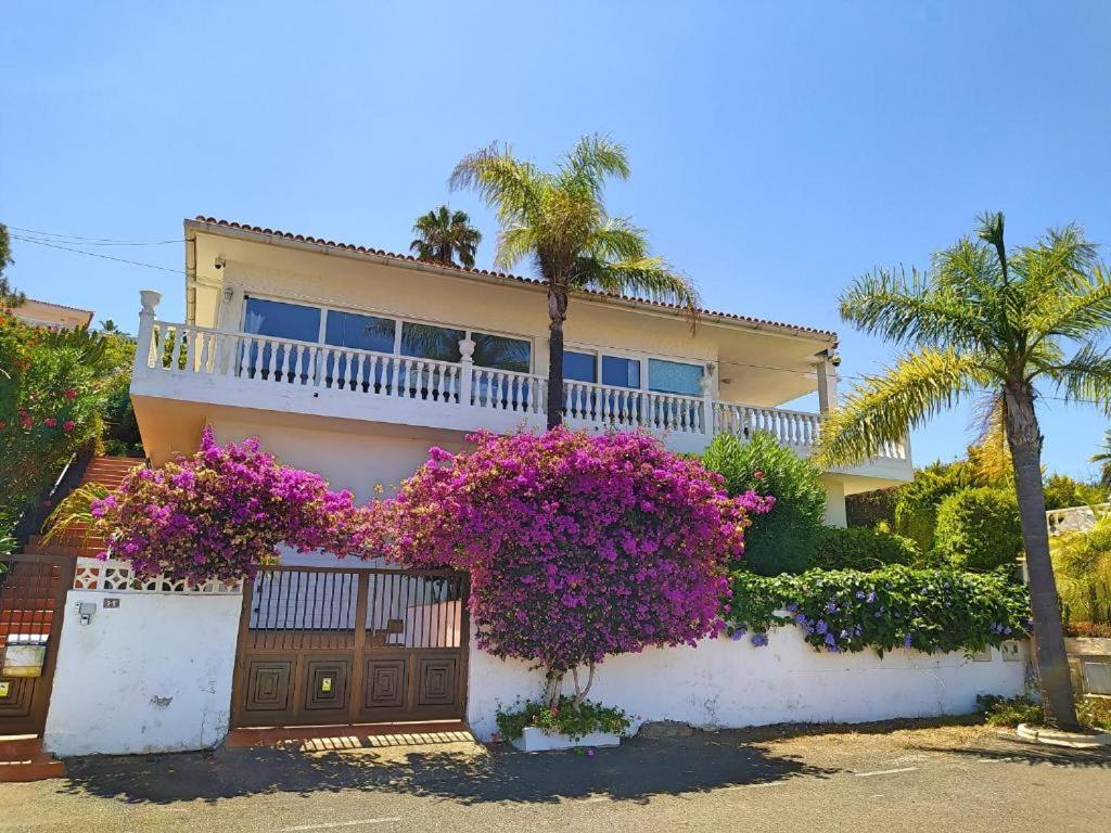Villa Carioca - with private pool, marvelous garden and amazing ocean view - B&B