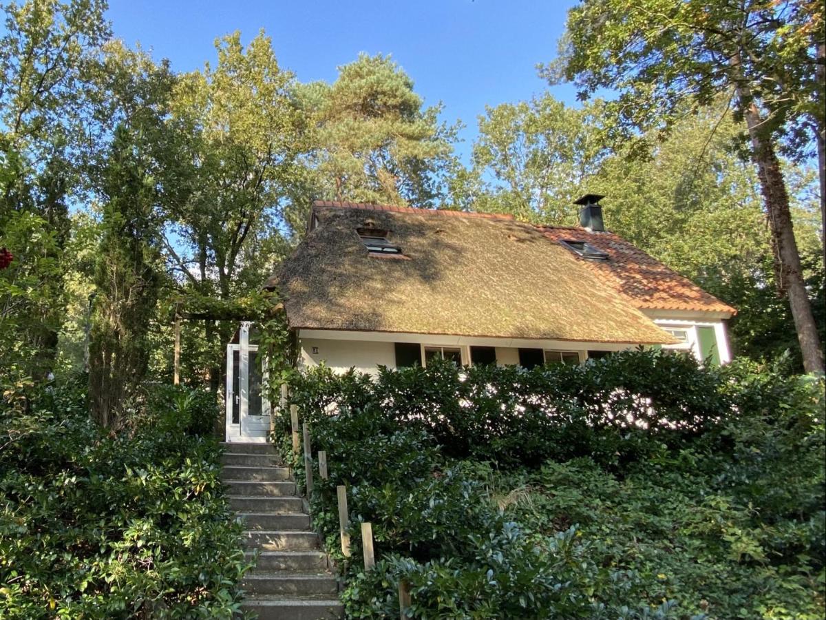 B&B IJhorst - Cottage Uylenhorst, De Witte Bergen 34 - Bed and Breakfast IJhorst