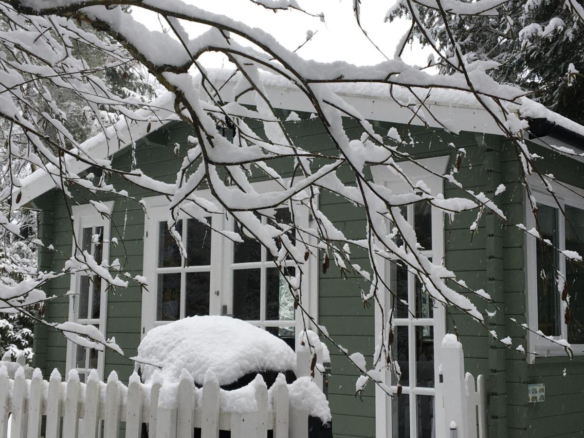 Woodland Cabin With private Wood-Fired Hot-Tub - B&B Farnham