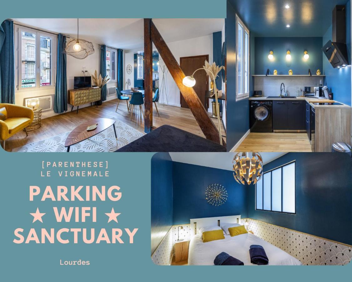 PARENTHESE - Le Vignemale - B&B Lourdes