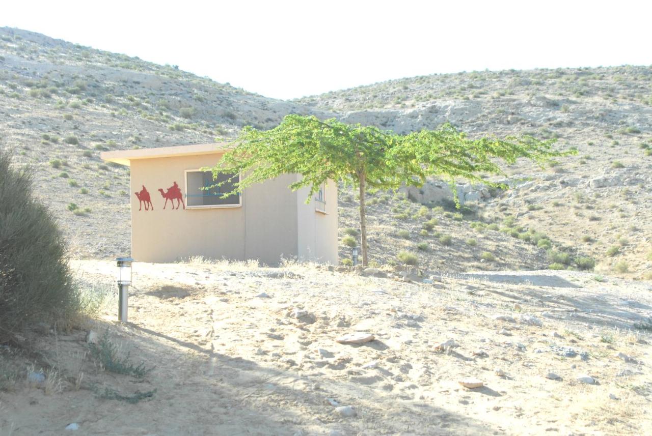 Negev Camel Ranch - B&B