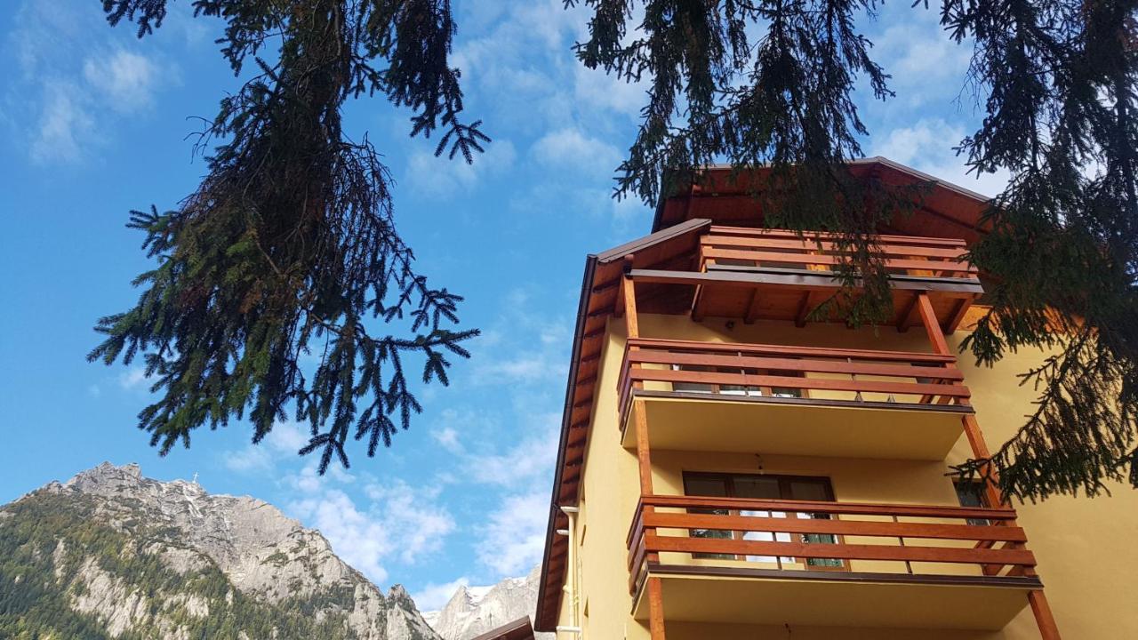 Apartament Lexannona Busteni - Ferienwohnung