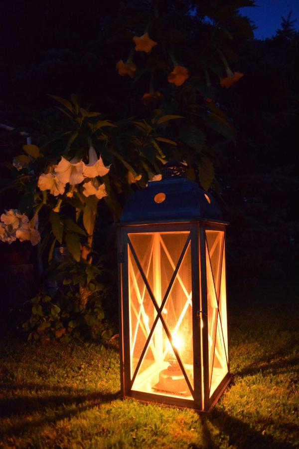 LandZAUBER Apartment Ferienwohnung - B&B Beiersdorf