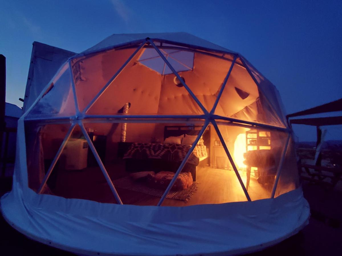 The Kosmic Tortoise - B&B Twentynine Palms
