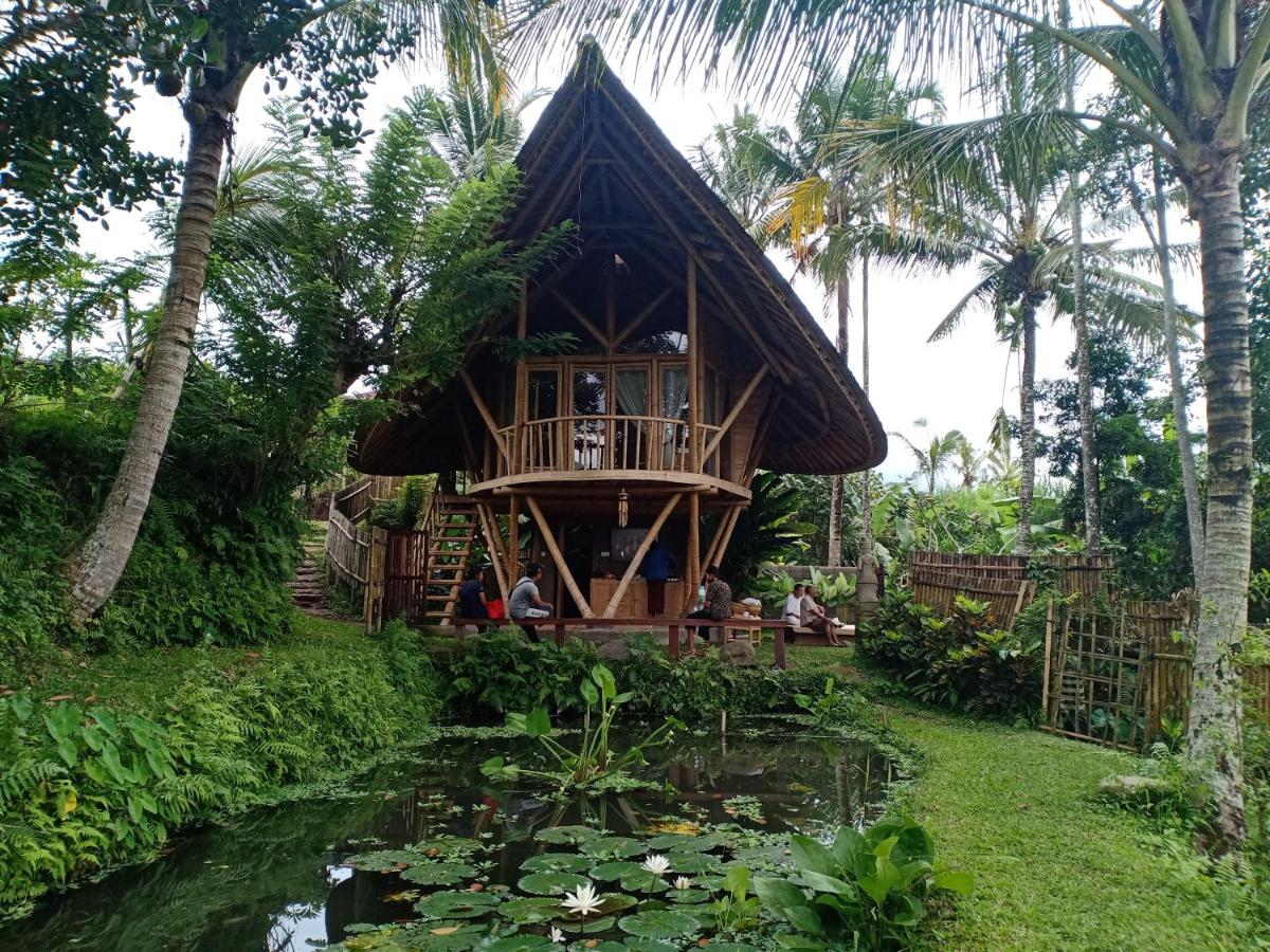 Jero Tumbuk Private Villa - B&B