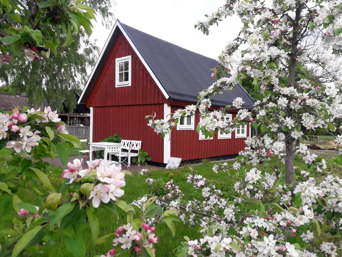 Brösarp Källagården Vedboden - B&B Brösarp