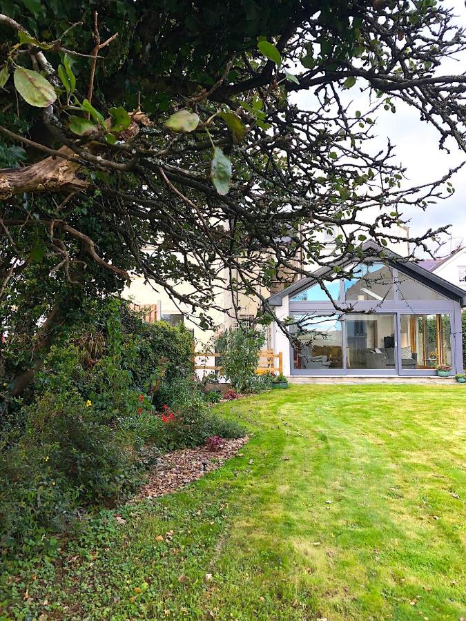 Dingle Garden Townhouse - Bed and Breakfast Dingle