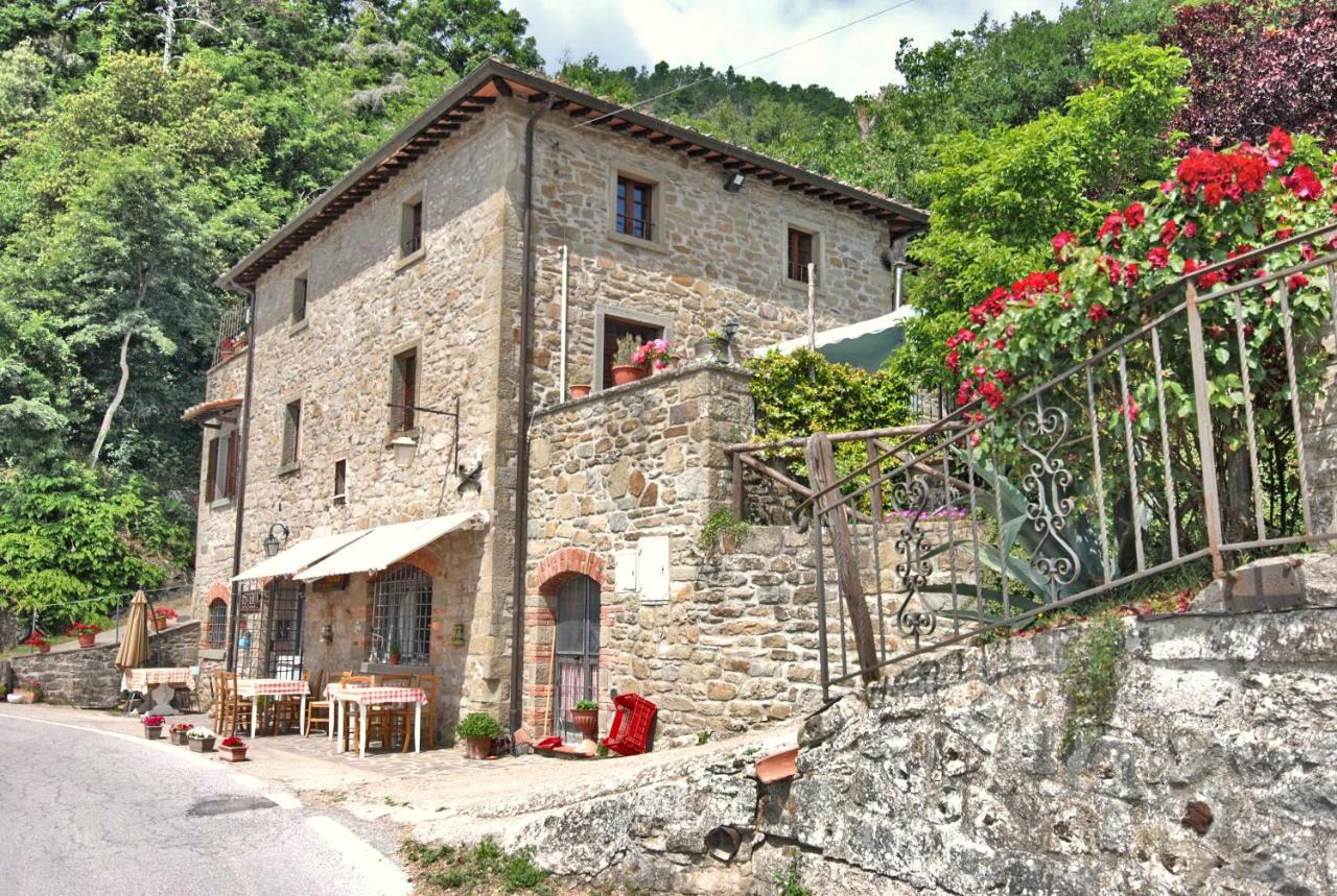 Valle Dame - B&B Cortona
