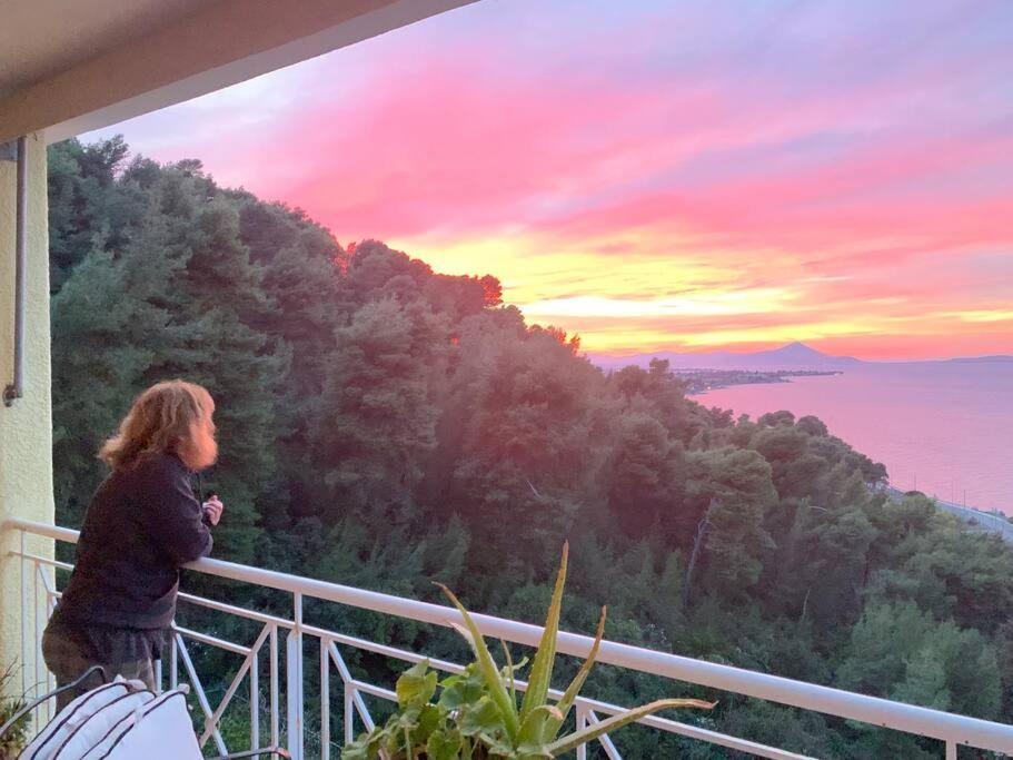 Amfiteatrico Sea View - Kalamos Attiki - B&B