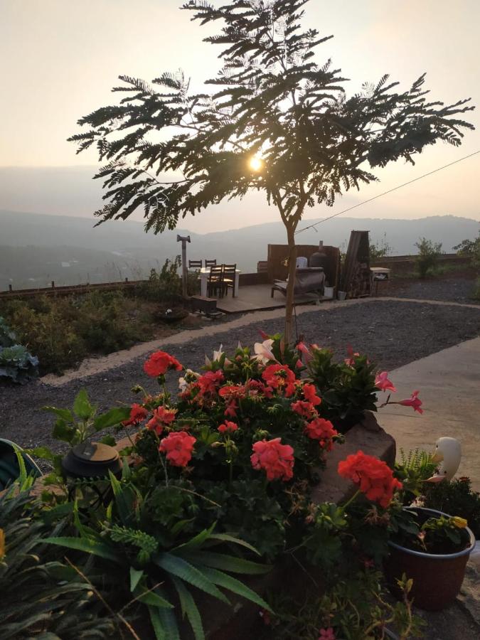 B&B Majdal Shams - בקתה בגלקסיה - Bed and Breakfast Majdal Shams