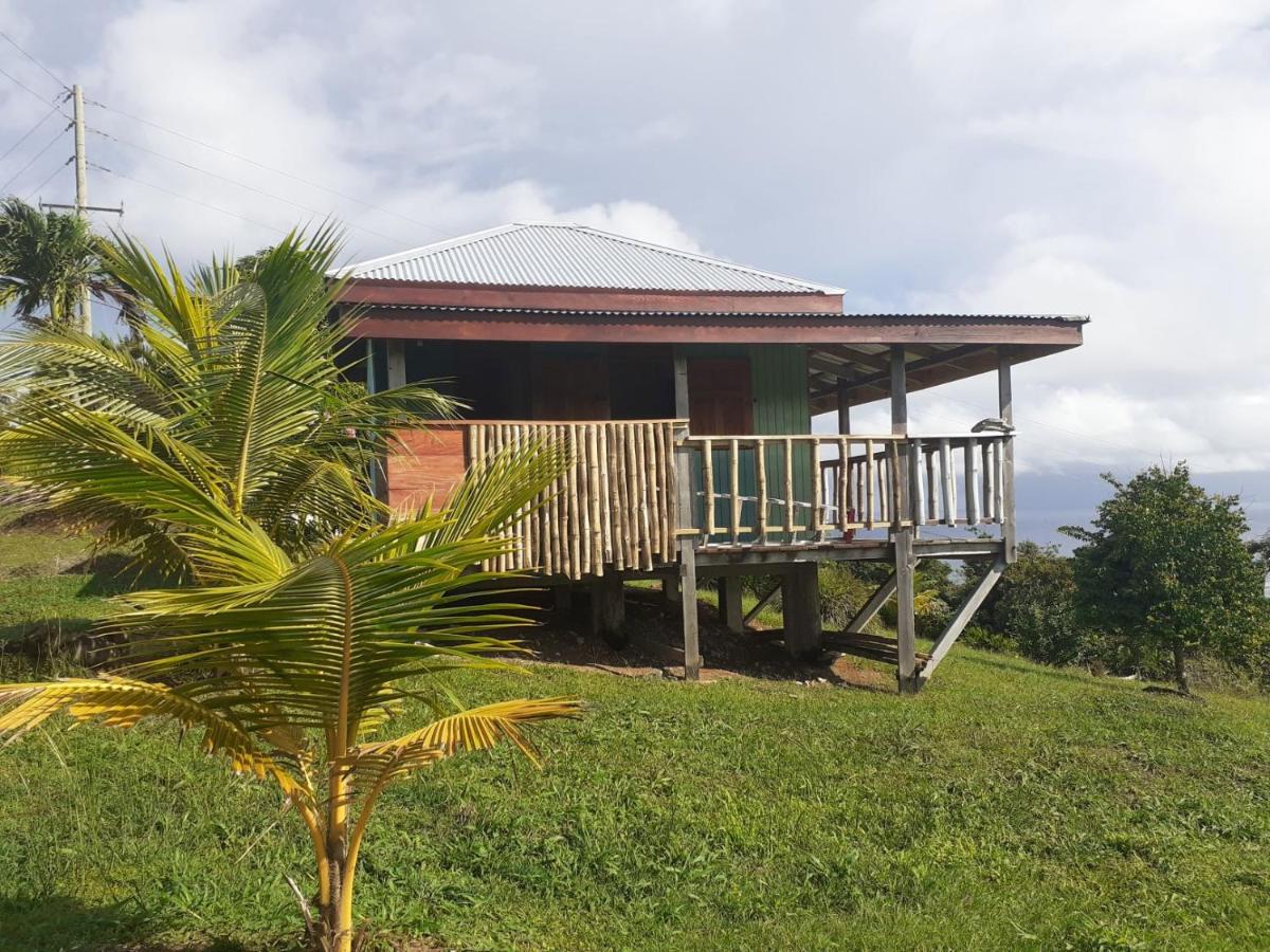 Kiki's Nature Cabin - Ferienwohnung