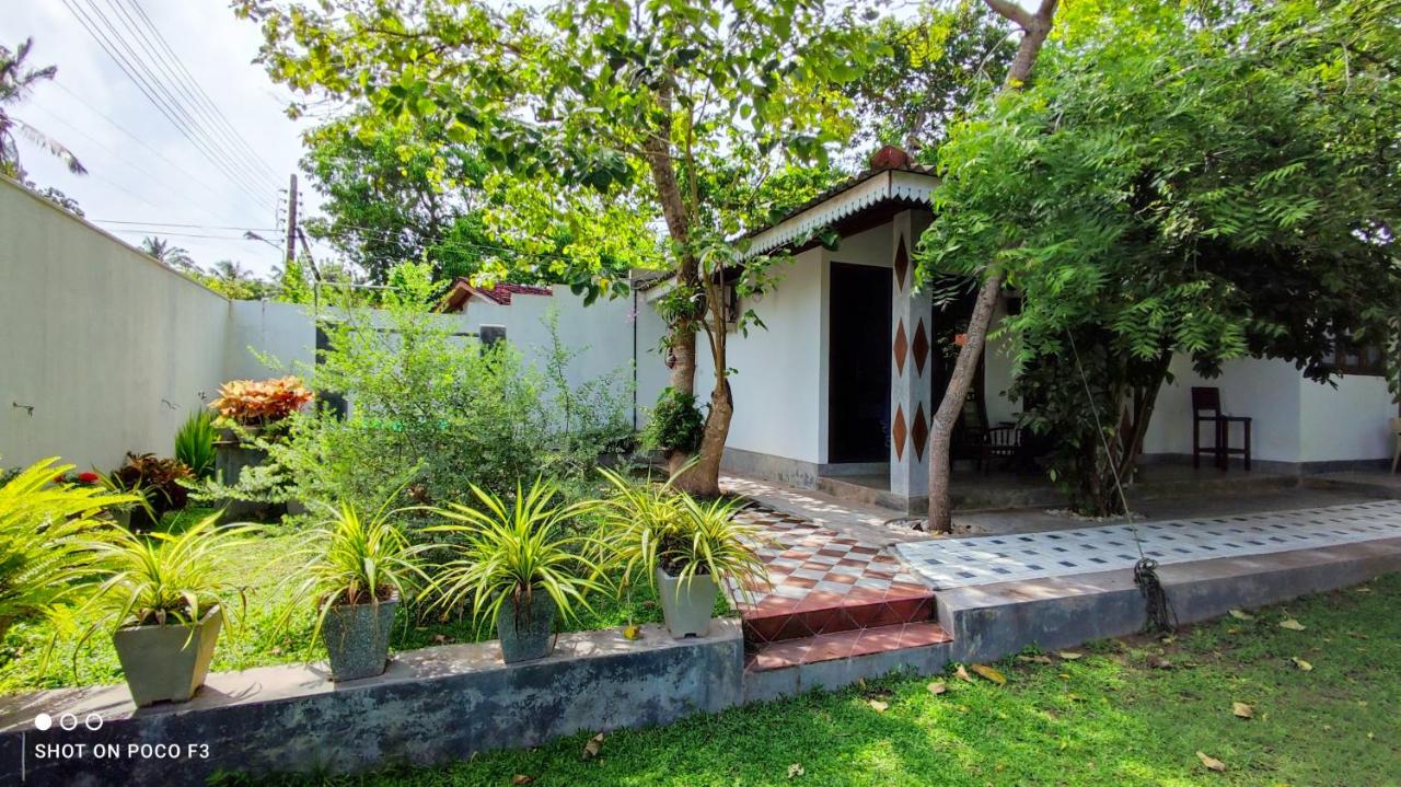 Calm House - Nature inspired private stay Mirissa - Bed and Breakfast Mirissa city