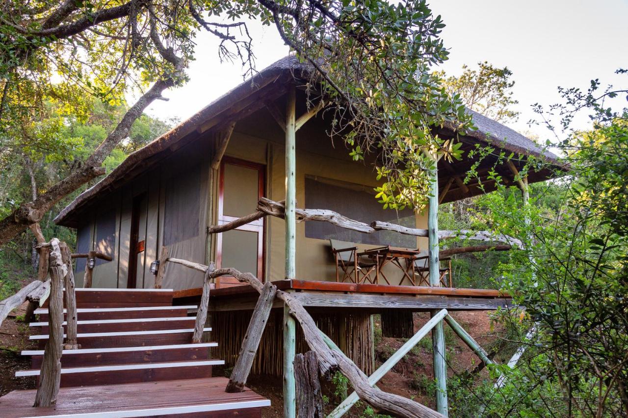 Lalibela Game Reserve Tree Tops Safari Lodge - B&B