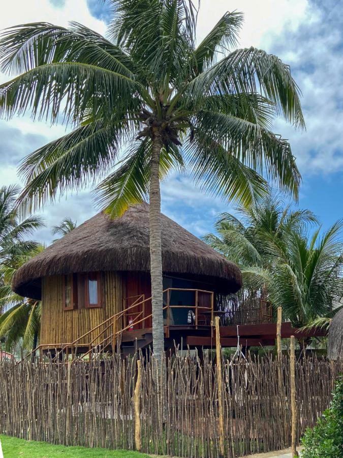 Carneiros Paradiso - B&B