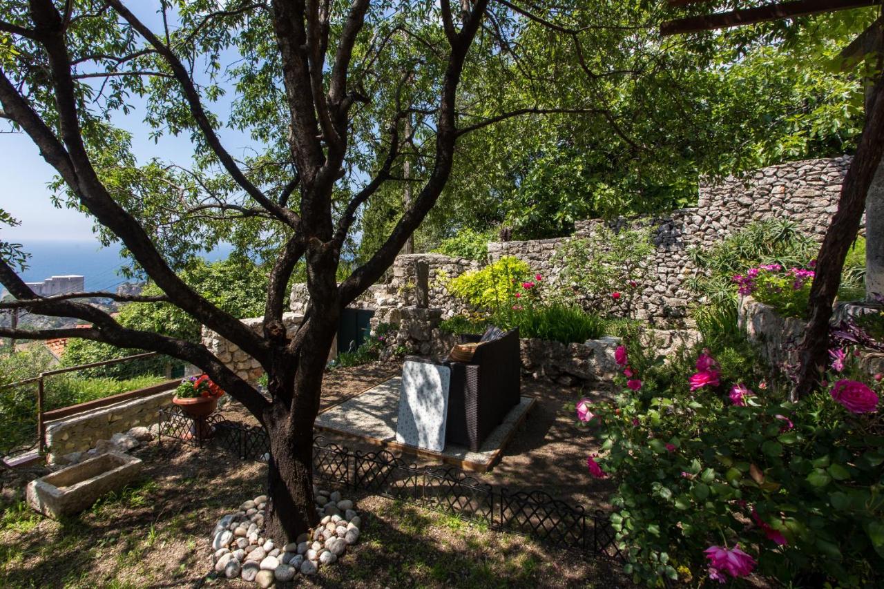Studio Maro - B&B