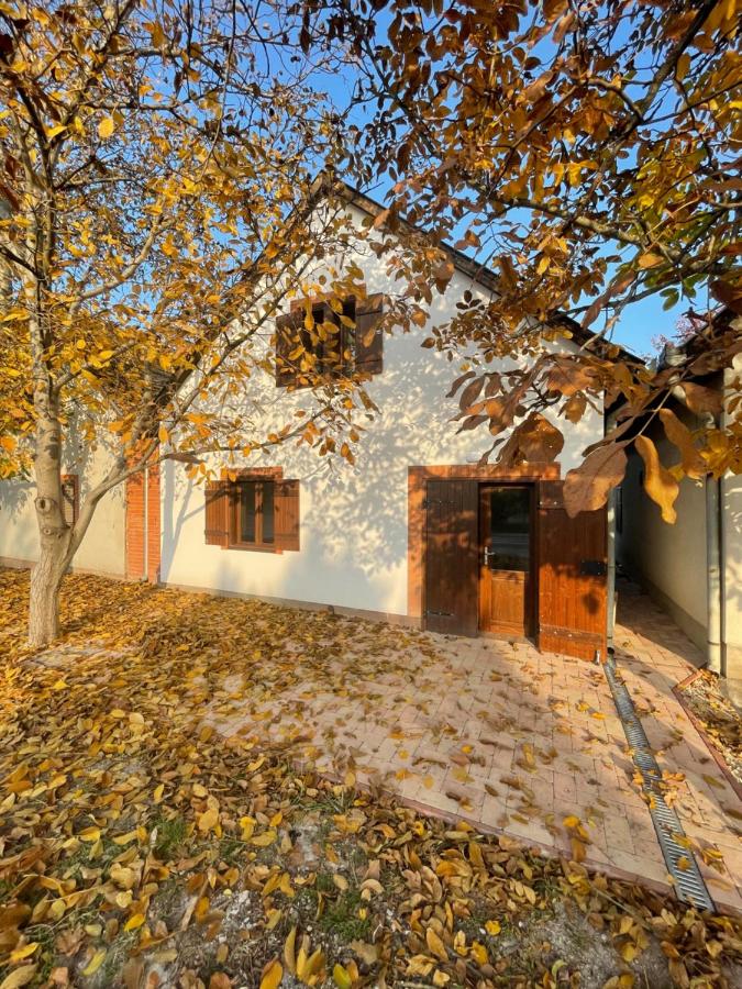 Perényi Pince és Vendégház Hajós - Ferienwohnung