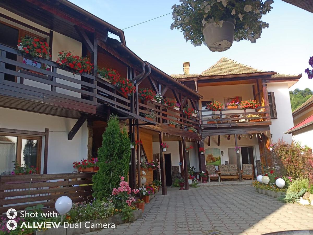 B&B Nemșa - Pensiunea Liana - Bed and Breakfast Nemșa