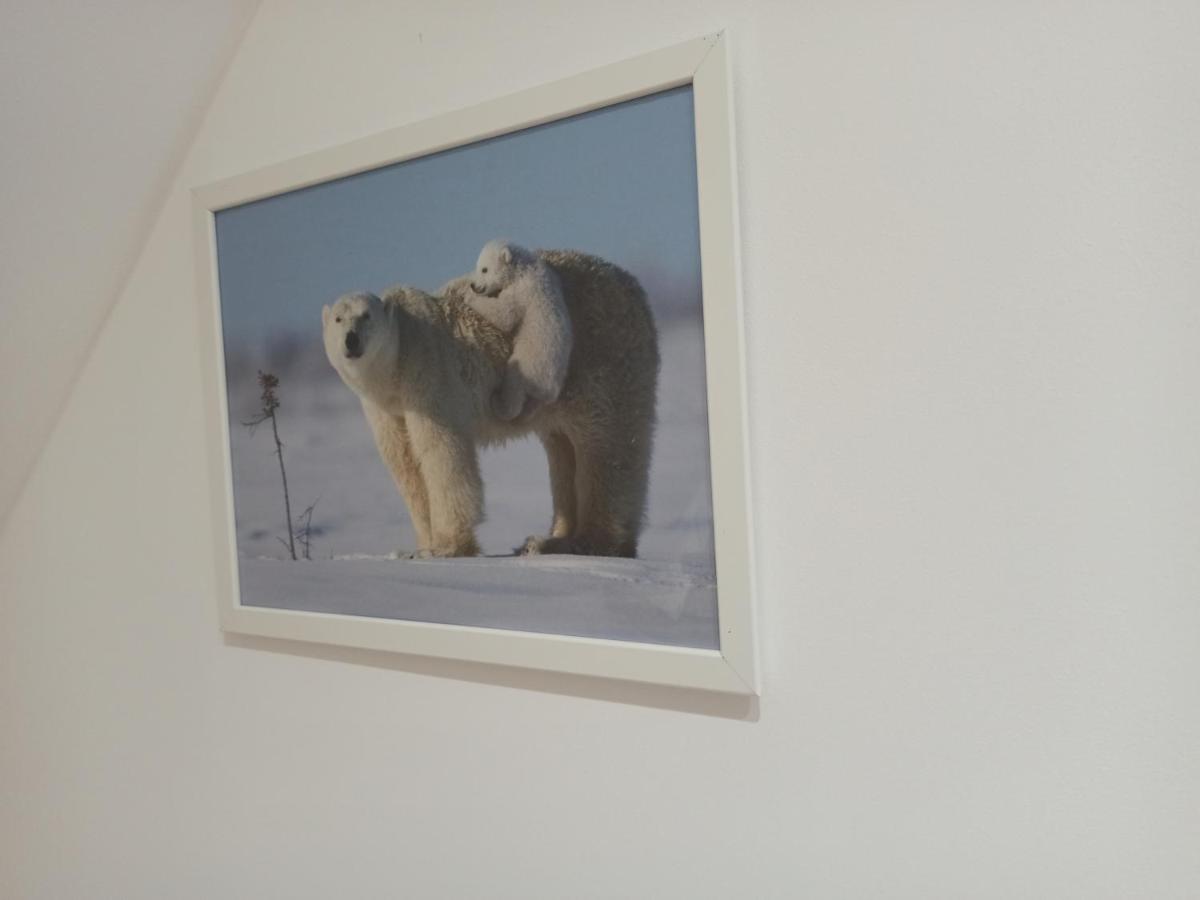 A 4 min du Zoo de Beauval Chambre Cosy 2 personnes sous les combles 2ème étage - Chambres d’hôtes Saint-Aignan