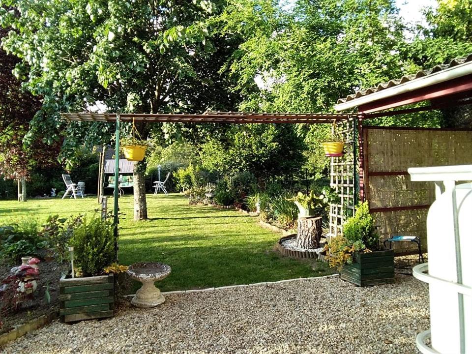 Hirondelles et mésanges - B&B Fromental